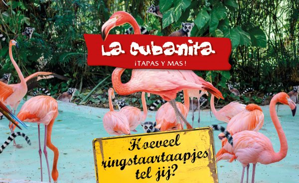 La Cubanita OKT zoekplaat Actie 2017 FB v4