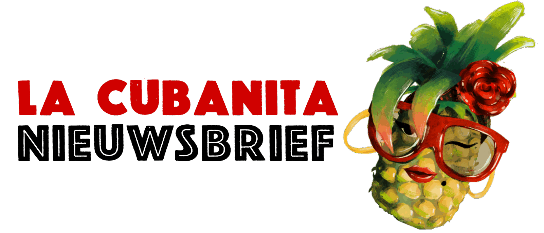 La Cubanita NIEUWSBRIEF Website banner 2